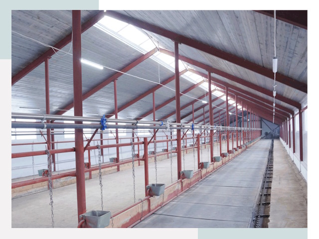 Строительство коровников в Белебее от 612 руб.