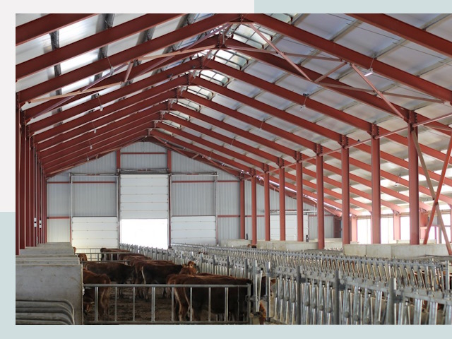 Строительство коровников в Белебее