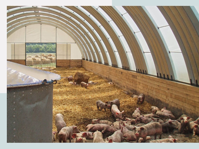 Строительство свинарников в Белебее