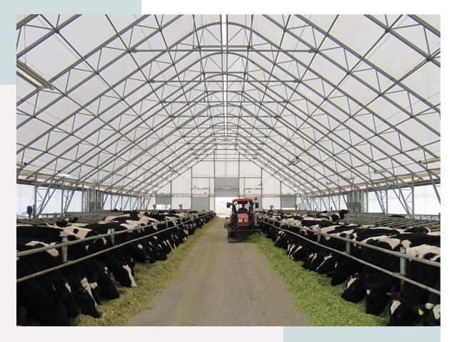 Тентовые коровники в Белебее от 612 руб. - Надежно и доступно