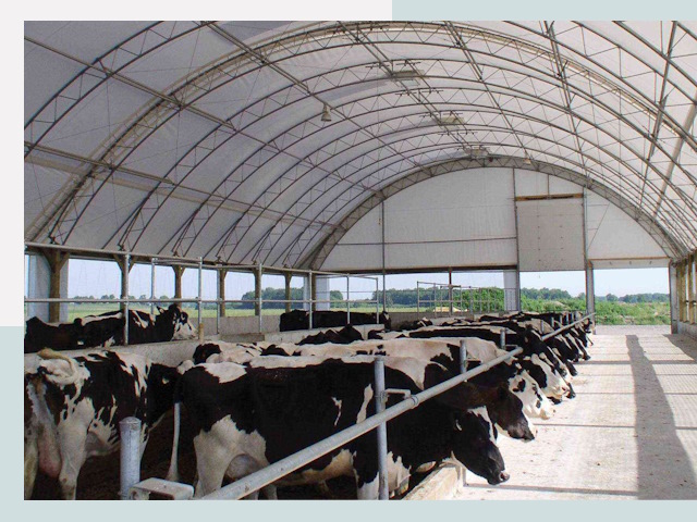 Тентовые коровники в Белебее